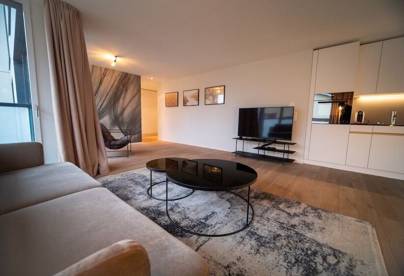 شقة ديلوكس غرفة واحدة, Gubelhof Suites