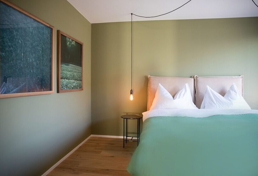 شقة ديلوكس غرفة واحدة, Gubelhof Suites