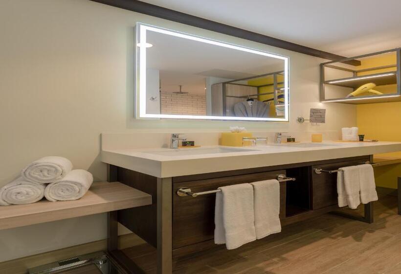 غرفة ديلوكس سرير كينج, Hyatt Centric San Salvador