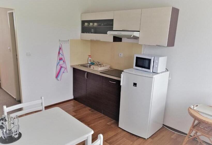 Апартаменты 1 Спальня с Террасой, Penzion Adriana
