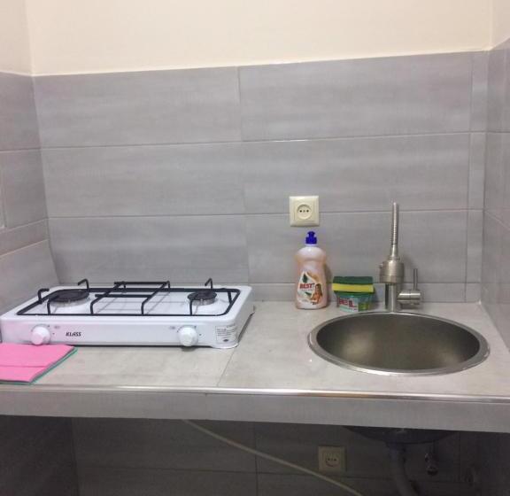 اتاق استاندارد با چشم‌انداز باغ, Batumi Guesthouse 28a