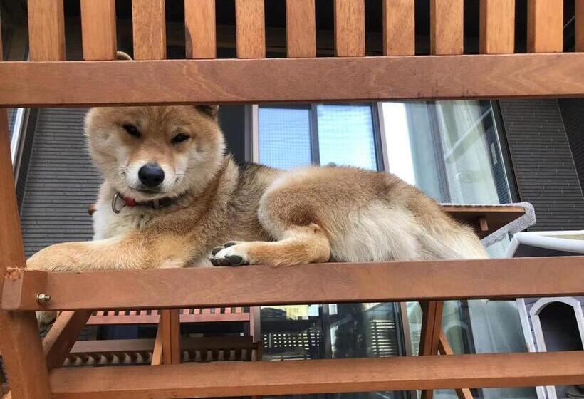 Семейный Номер Deluxe, Guesthouse Gifu Suai