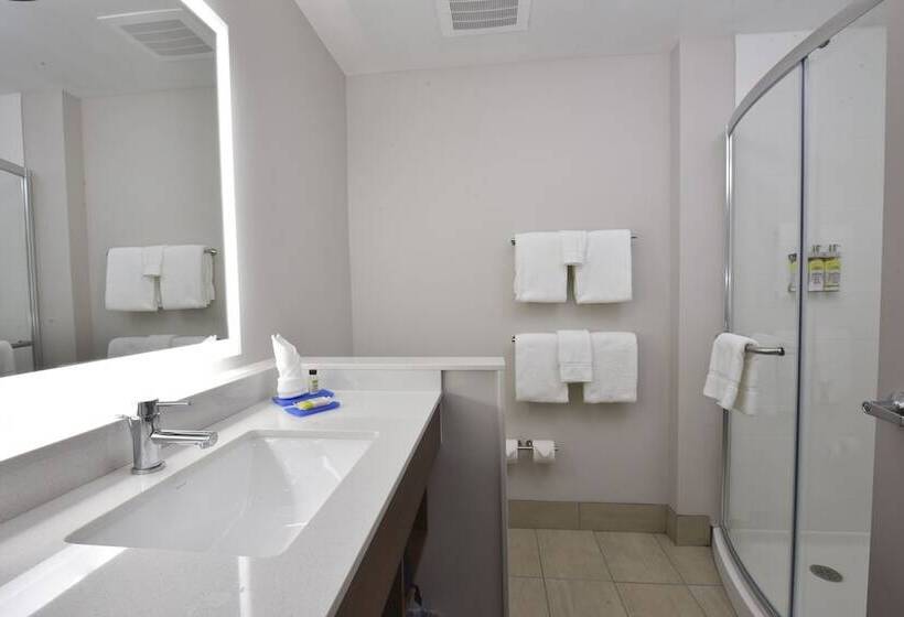 Люкс, Holiday Inn Express & Suites Orlando Southeast, An Ihg