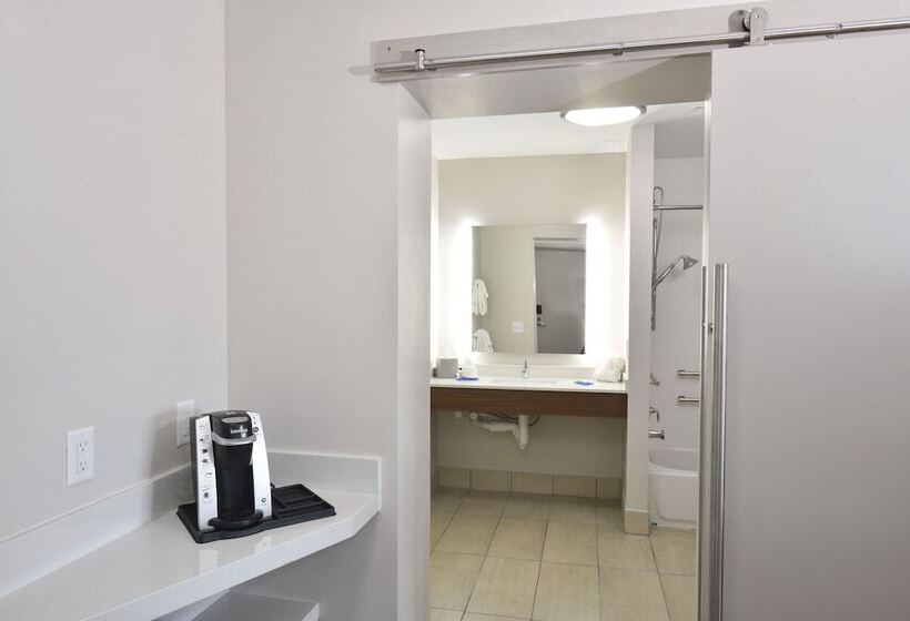 套房, Holiday Inn Express & Suites   Orlando   Southeast, An Ihg