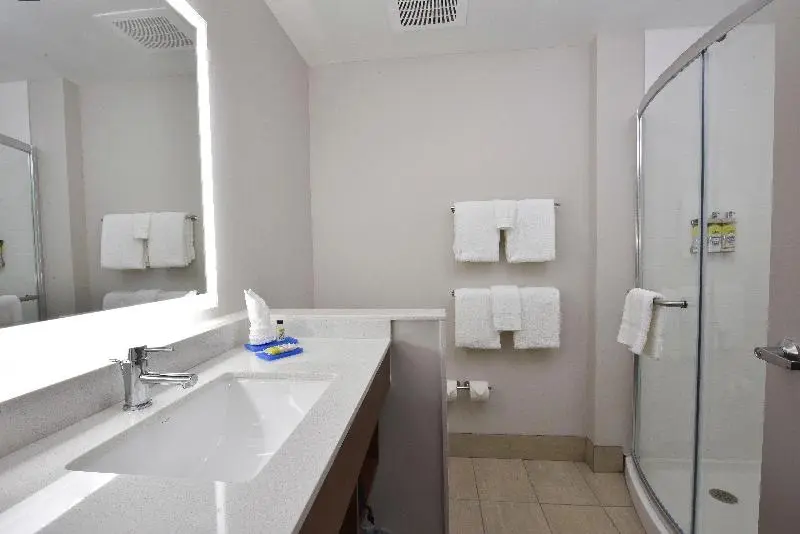 身障者適用キングサイズベッドルーム, Holiday Inn Express & Suites   Orlando   Southeast, An Ihg