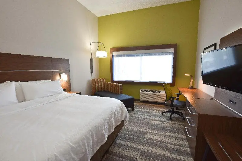 身障者適用キングサイズベッドルーム, Holiday Inn Express & Suites   Orlando   Southeast, An Ihg