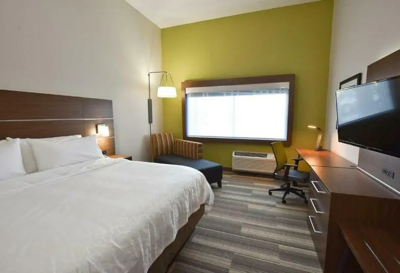 身障者適用キングサイズベッドルーム, Holiday Inn Express & Suites   Orlando   Southeast, An Ihg