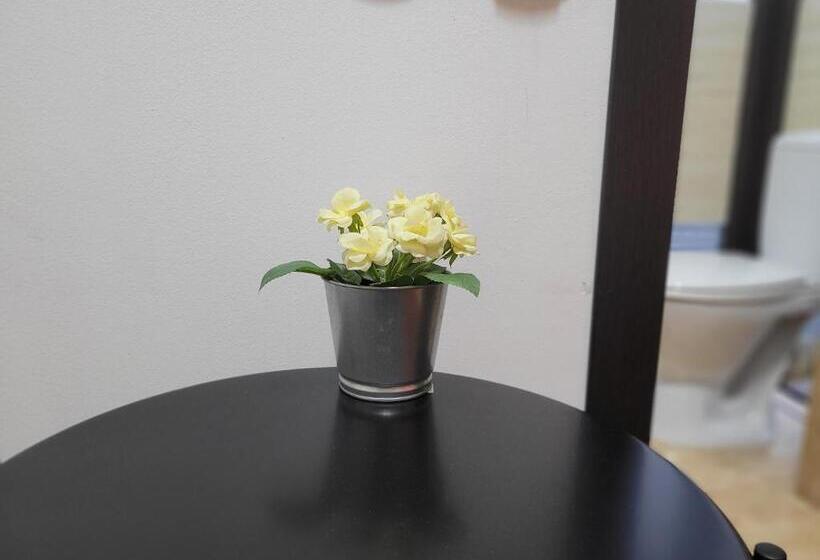 اتاق استاندارد یک نفره, Mag Motel