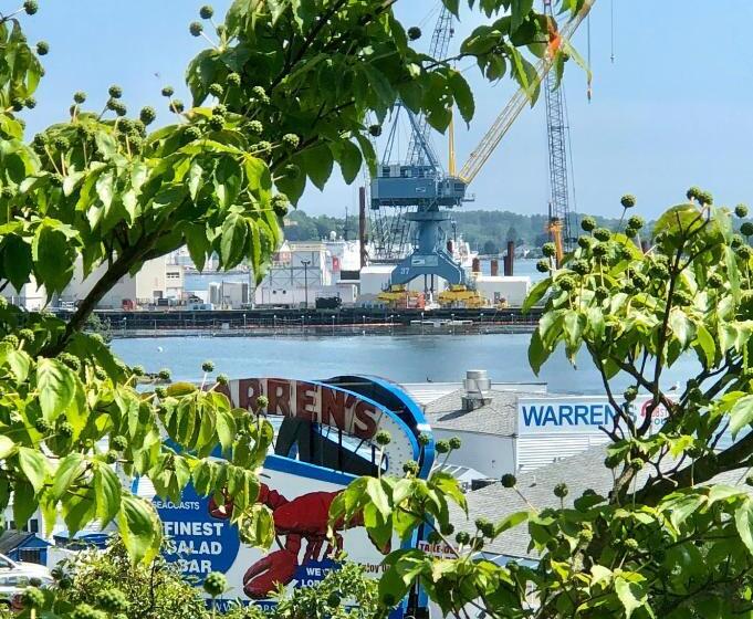 غرفة ديلوكس سرير كينج, The Water Street Inn