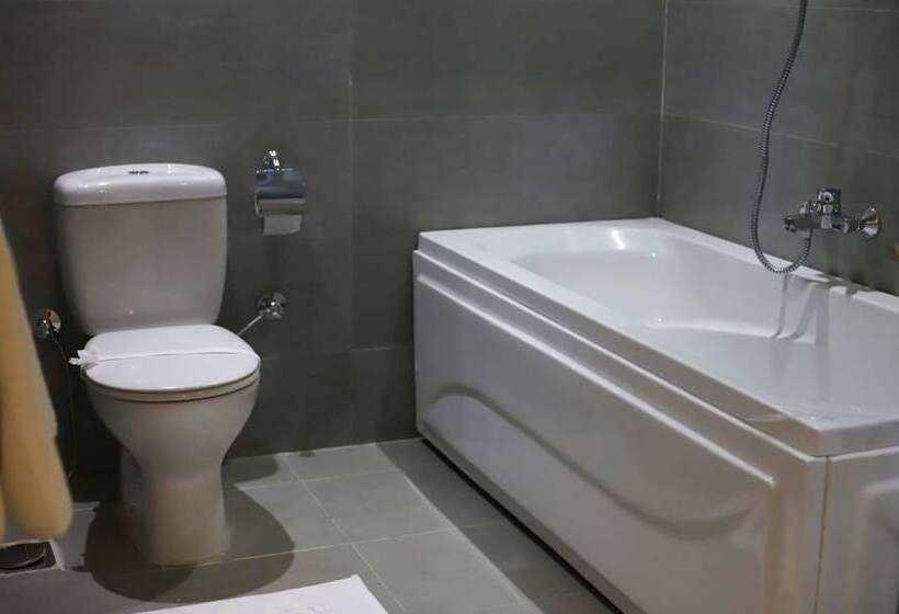 اتاق لوکس, Miramar Downtown Tahrir Square