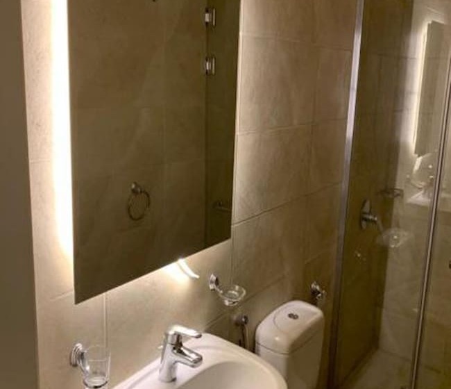 اتاق اکونومی یک تخته, Miramar Downtown Tahrir Square