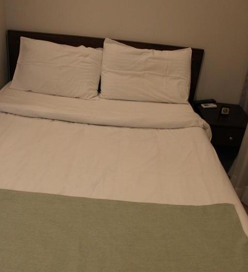 اتاق اکونومی یک تخته, Miramar Downtown Tahrir Square