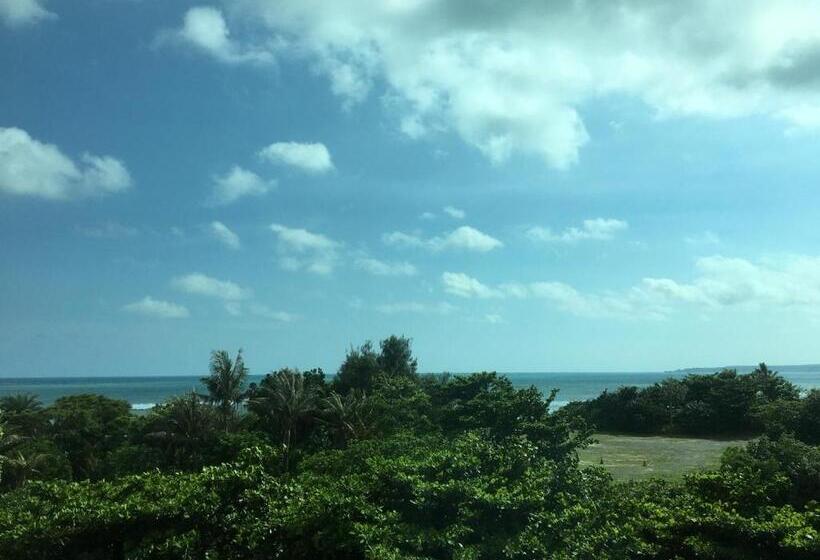 اتاق استاندارد چهار تخته با چشمانداز دریا, Harmony Ocean