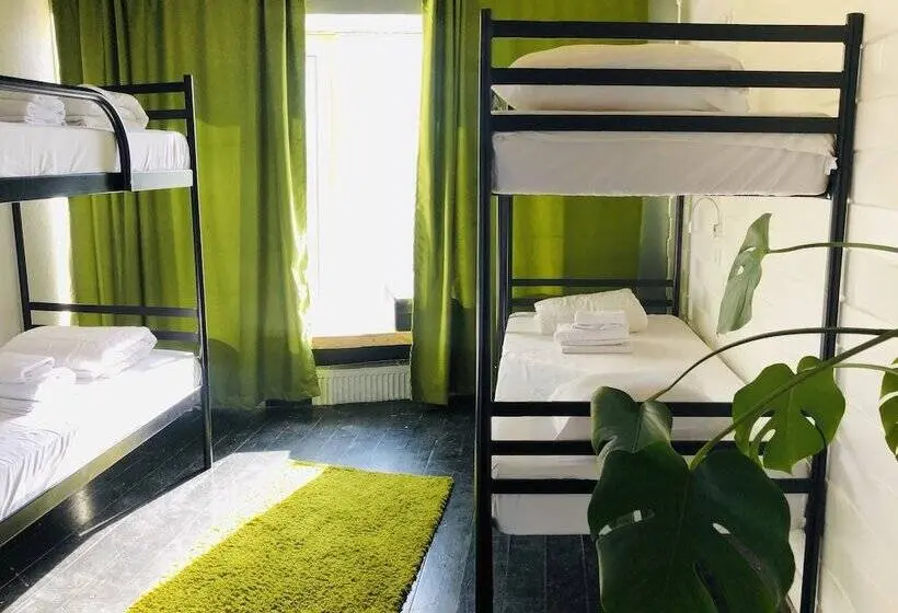 تختخواب در اتاق مشترک, Zipper House Hostel