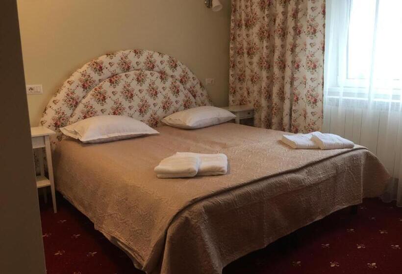 غرفة قياسية, Casa Bucovineana