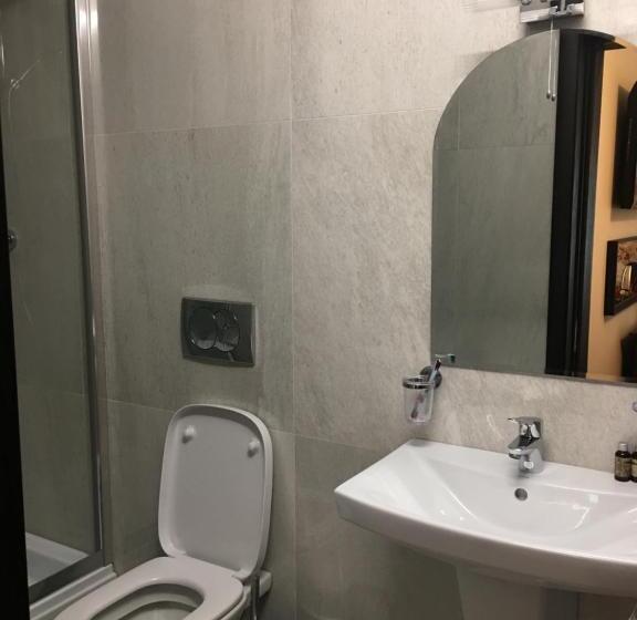 غرفة قياسية, Casa Bucovineana