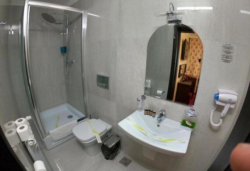 غرفة قياسية, Casa Bucovineana