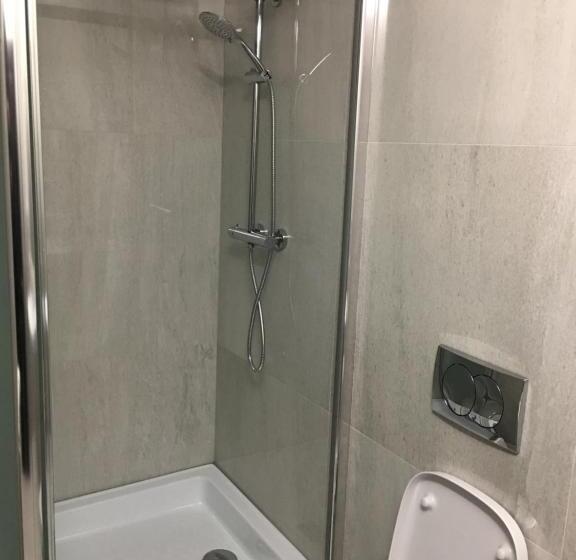 غرفة إقتصادية, Casa Bucovineana