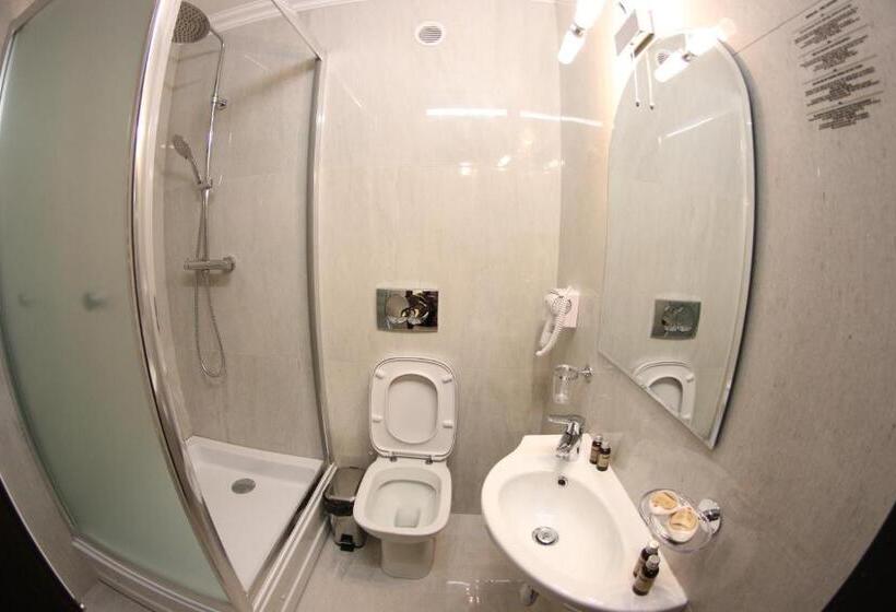 غرفة إقتصادية, Casa Bucovineana