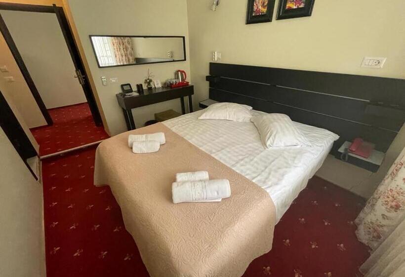 غرفة إقتصادية, Casa Bucovineana