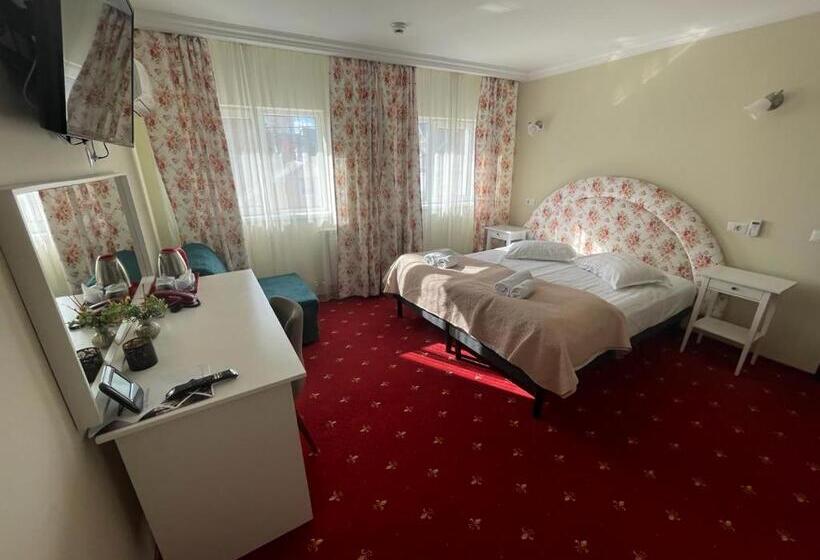 غرفة ديلوكس, Casa Bucovineana