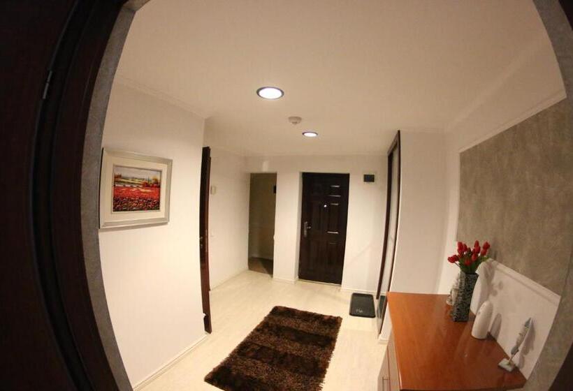 إستوديو ديلوكس, Casa Bucovineana