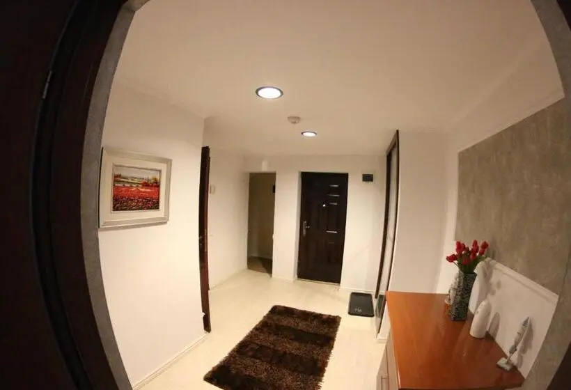 デラックススタジオ, Casa Bucovineana