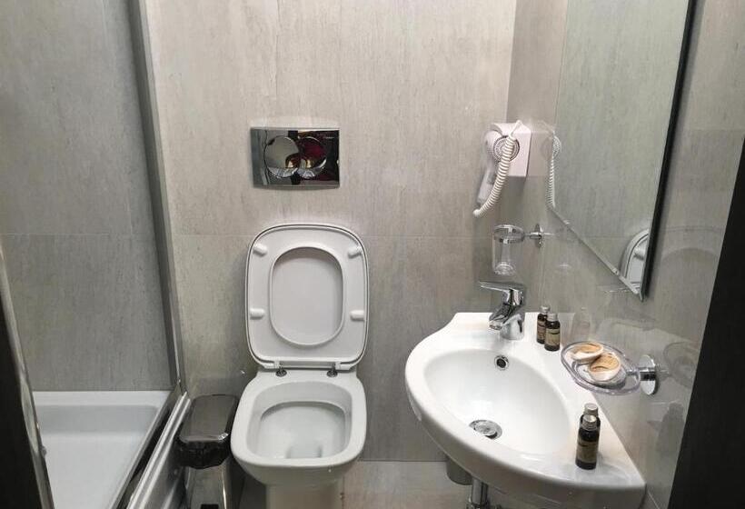 غرفة إقتصادية, Casa Bucovineana