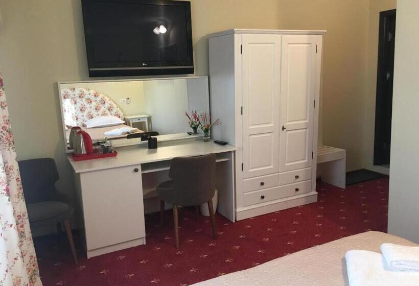 غرفة قياسية, Casa Bucovineana