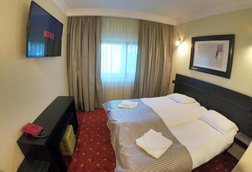 غرفة إقتصادية, Casa Bucovineana