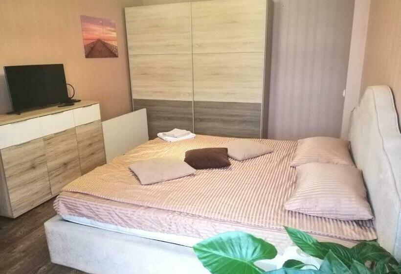 اتاق اکونومی, Komnata V Gostevom Dome Na Metro Osokorki