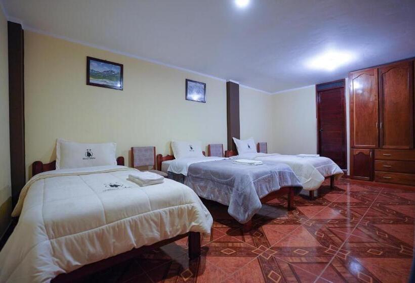 اتاق استاندارد سه نفره, Anita Hostal