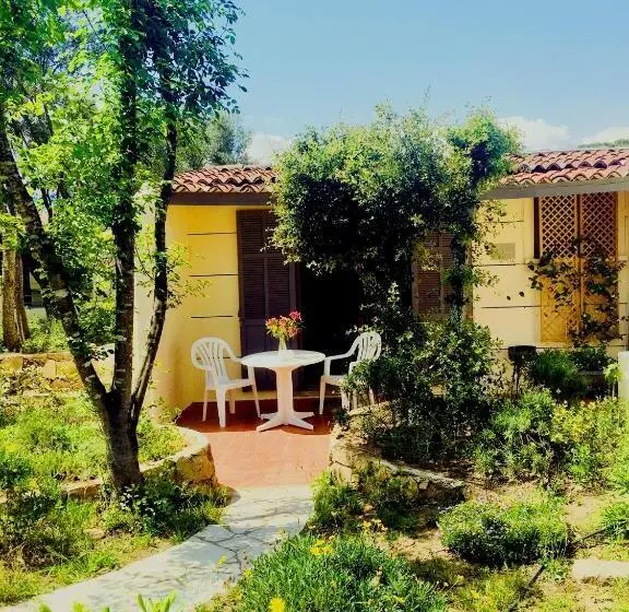ガーデンビューのスタンダードワンルーム, Bungalows Filippi