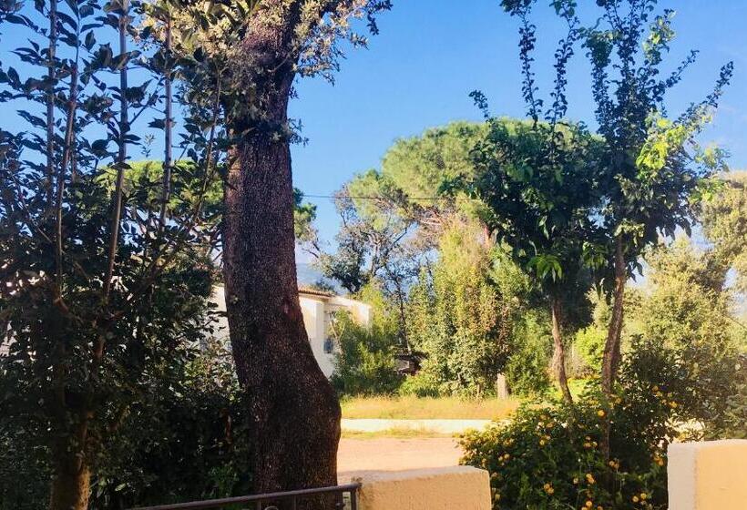 آپارتمان 1 خوابه با چشمانداز باغ, Bungalows Filippi