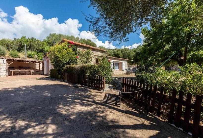 خانه 2 خوابه, Bungalows Filippi