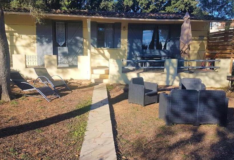 آپارتمان سوپریور 1 خوابه, Bungalows Filippi