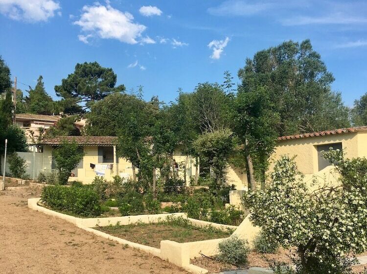 استودیوی استاندارد, Bungalows Filippi