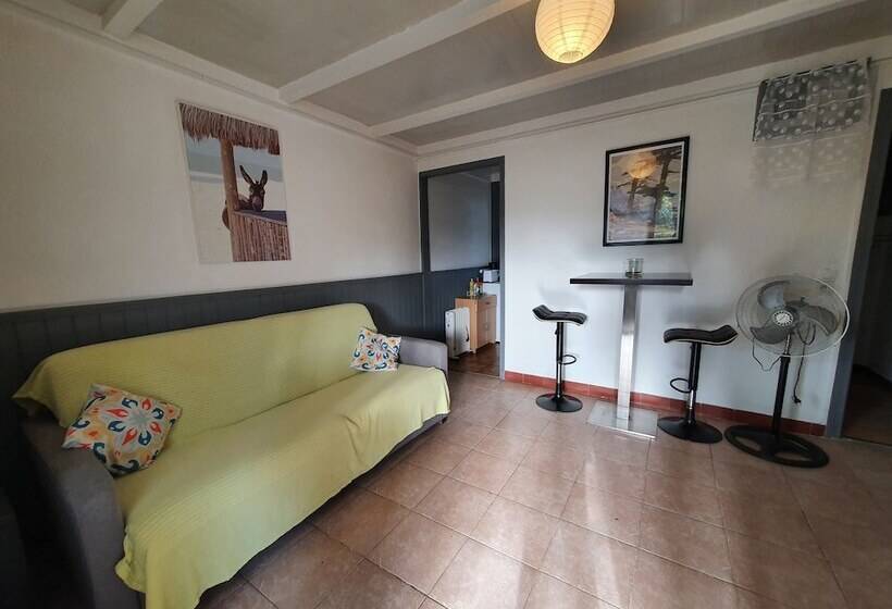 استودیوی استاندارد, Bungalows Filippi