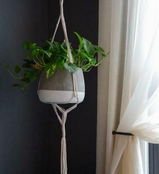 标准工作室, Atticus