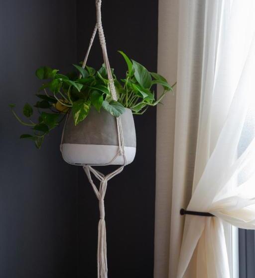 高级工作室, Atticus