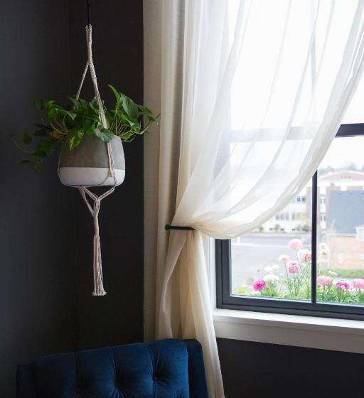 标准工作室, Atticus