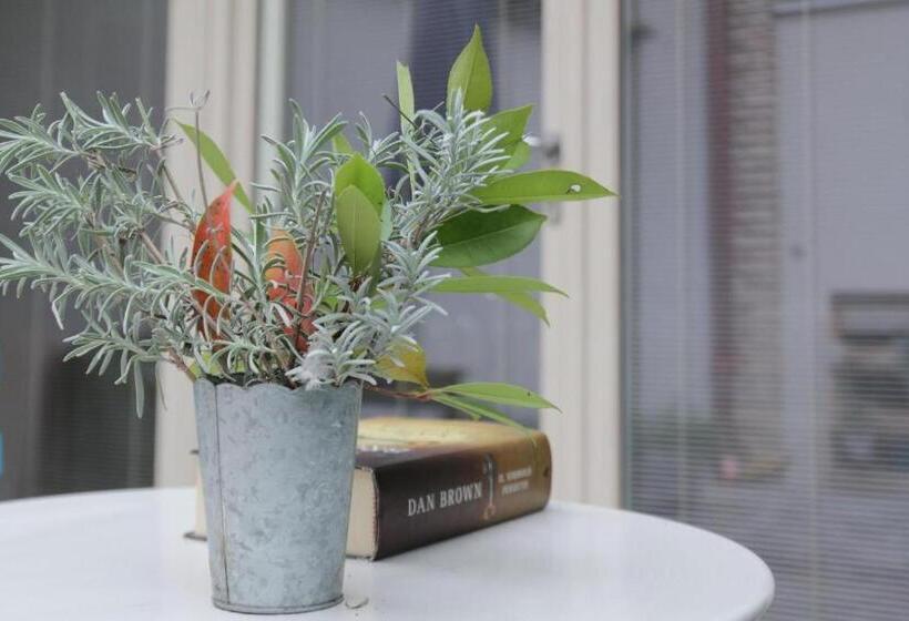 דירת חדר בקומת קרקע, B&b Molinari