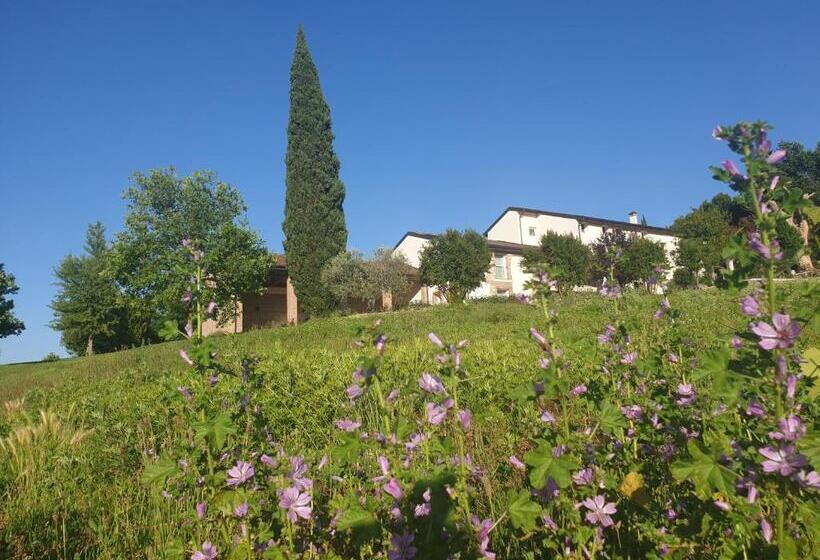 اتاق استاندارد, Agriturismo Relais Maddalene101