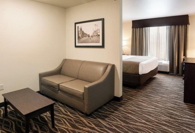 스탠다드 스튜디오, Cobblestone Hotel & Suites Appleton International Airport