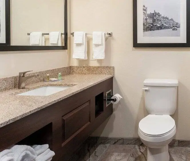 Standard-huone, Cobblestone Hotel & Suites Appleton International Airport