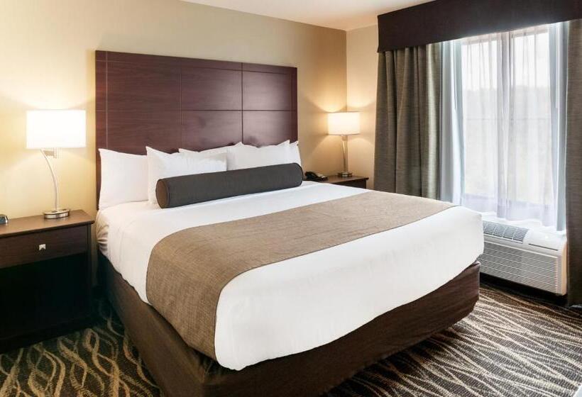 استودیو استاندارد با تخت کینگ, Cobblestone Hotel & Suites Appleton International Airport