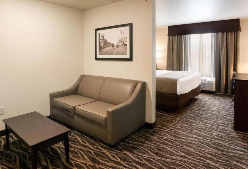 إستوديو قياسى سرير كينج, Cobblestone Hotel & Suites Appleton International Airport