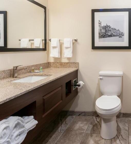 스탠다드 스튜디오 킹침대, Cobblestone Hotel & Suites Appleton International Airport