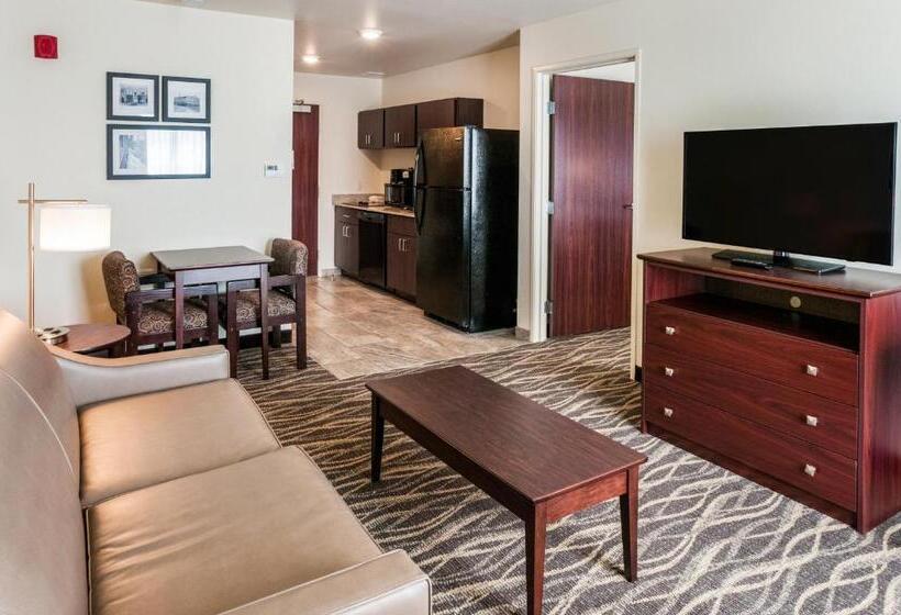 جناح ديلوكس, Cobblestone Hotel & Suites Appleton International Airport