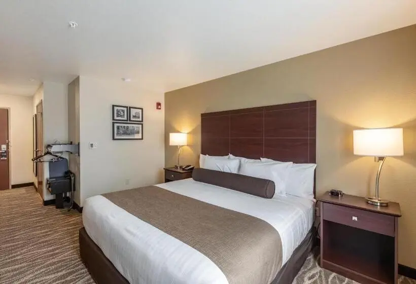Standard-invahuone King-vuode, Cobblestone Hotel & Suites Appleton International Airport